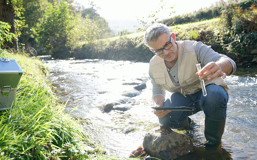 Conservation Efforts Shouldn’t Be a Popularity Contest