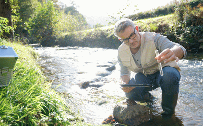Conservation Efforts Shouldn’t Be a Popularity Contest